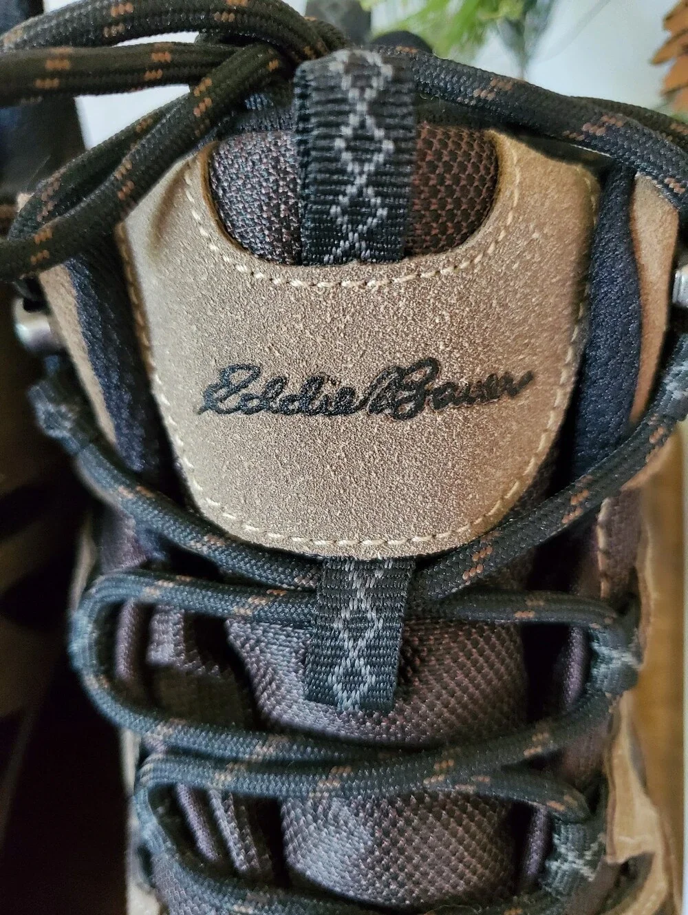 NWT Eddie Bauer Men Ridgeline Brown Waterproof Leather Hiking Boots